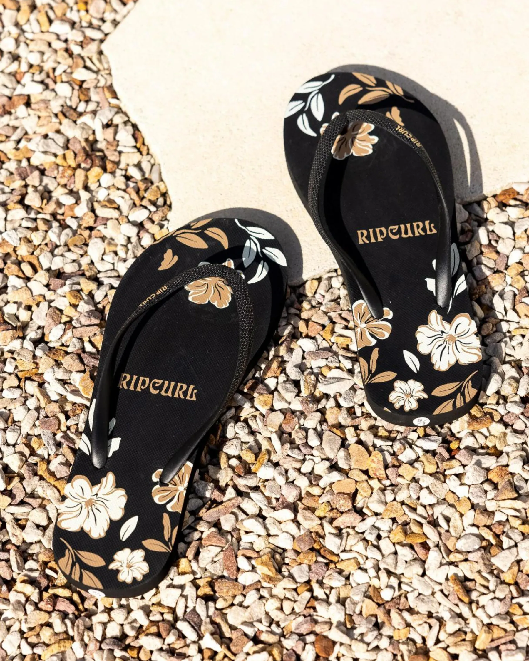 Flip Flops*Rip Curl Mixed Bloom Thongs Black