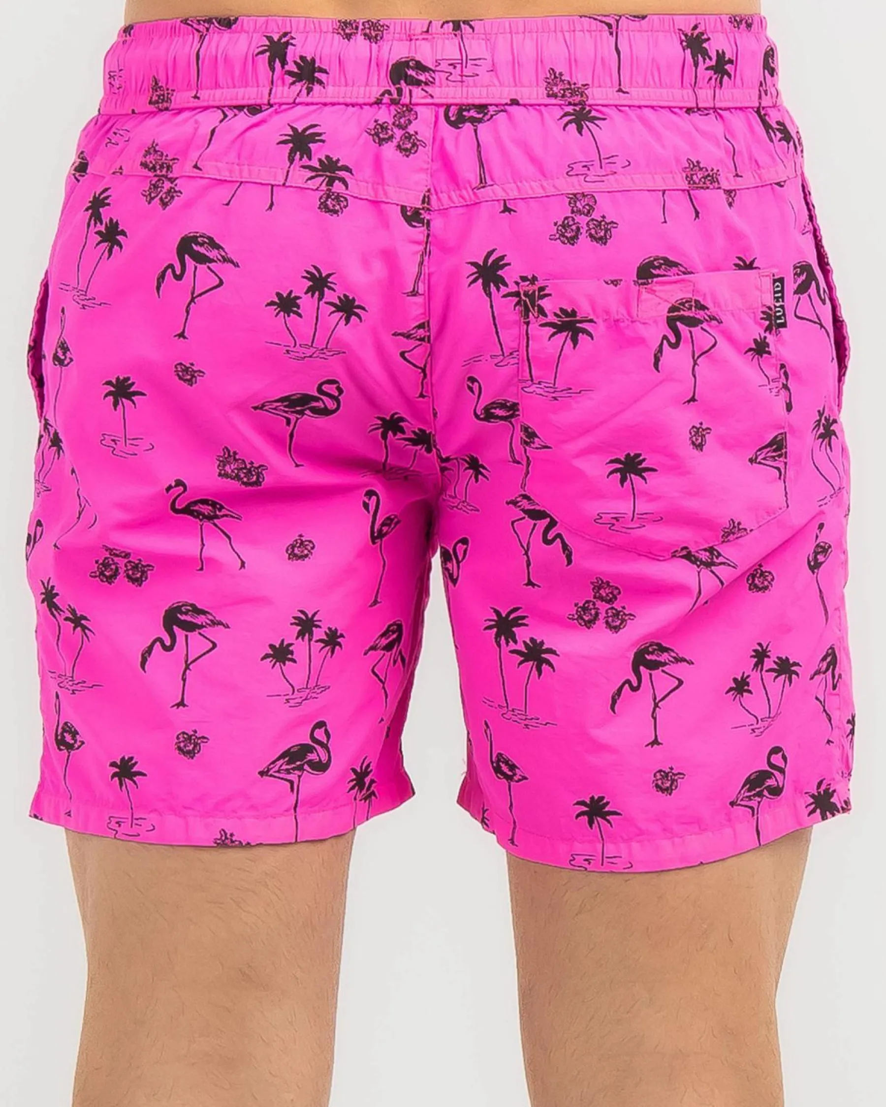 Discount Voyager Elastic Waist Shorts Shorts & Bottoms